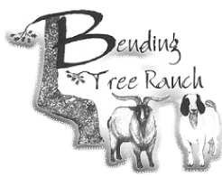 BendingTree Ranch TexMaster Goats