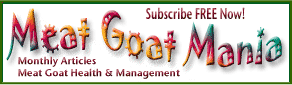 Meat Goat Mania