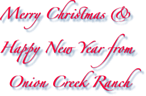 Merry Christmas & Happy New Year