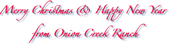 Merry Christmas & Happy New