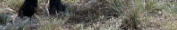 ocr4a1a
