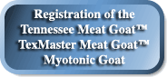 RegistrationTop